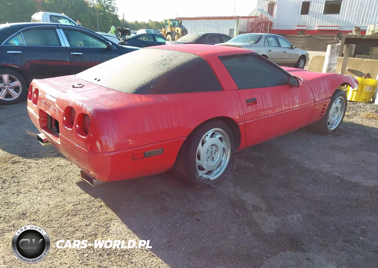1992 Chevrolet Corvette VIN:1G1YY23PXN5113795 - 4