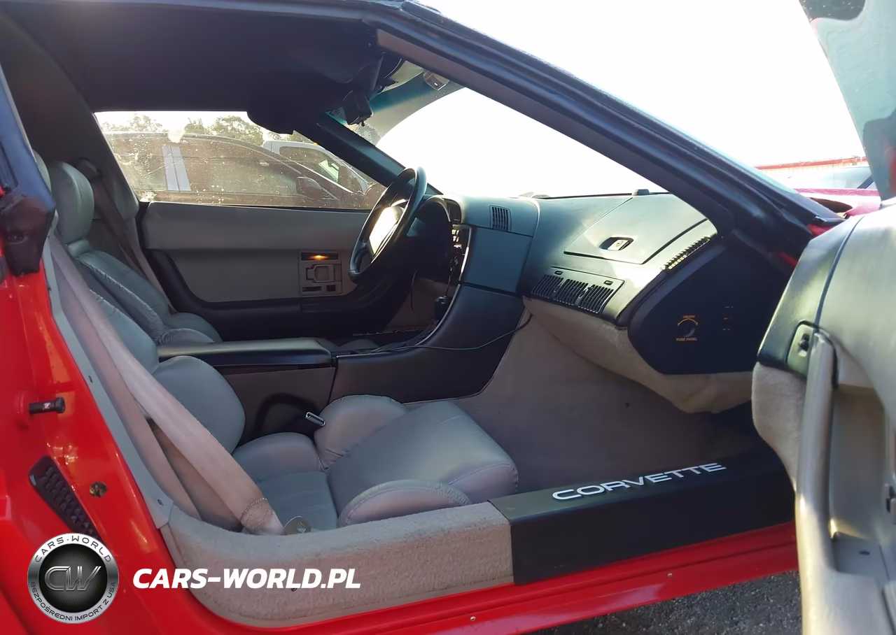 1992 Chevrolet Corvette VIN:1G1YY23PXN5113795 - 5