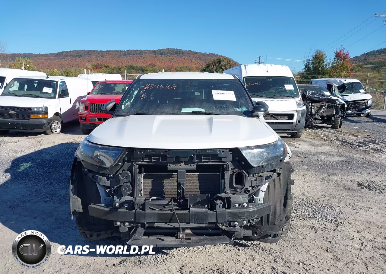 2020 Ford Police Interceptor Utility VIN:1FM5K8AB8LGC36644 - 11