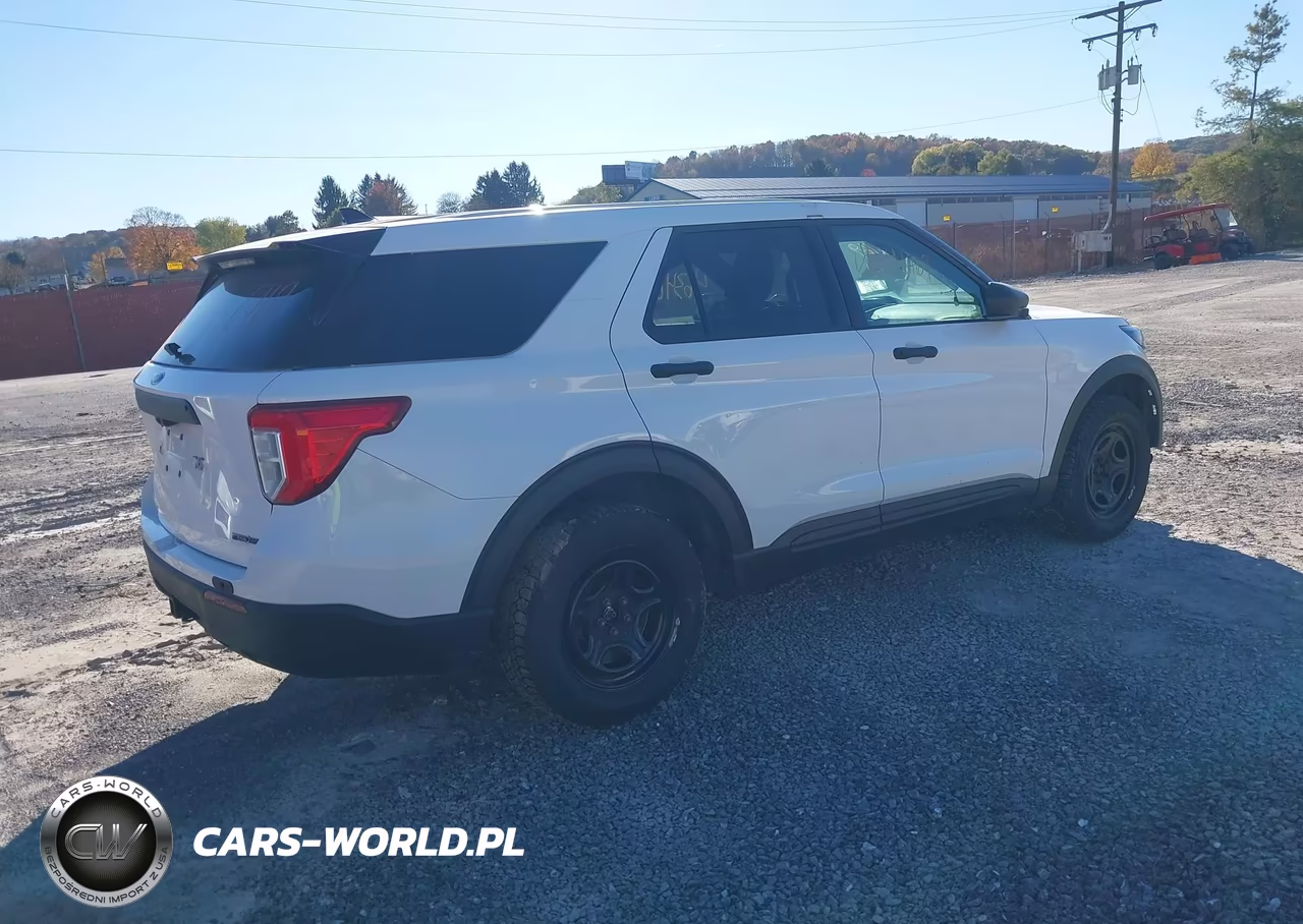 2020 Ford Police Interceptor Utility VIN:1FM5K8AB8LGC36644 - 4