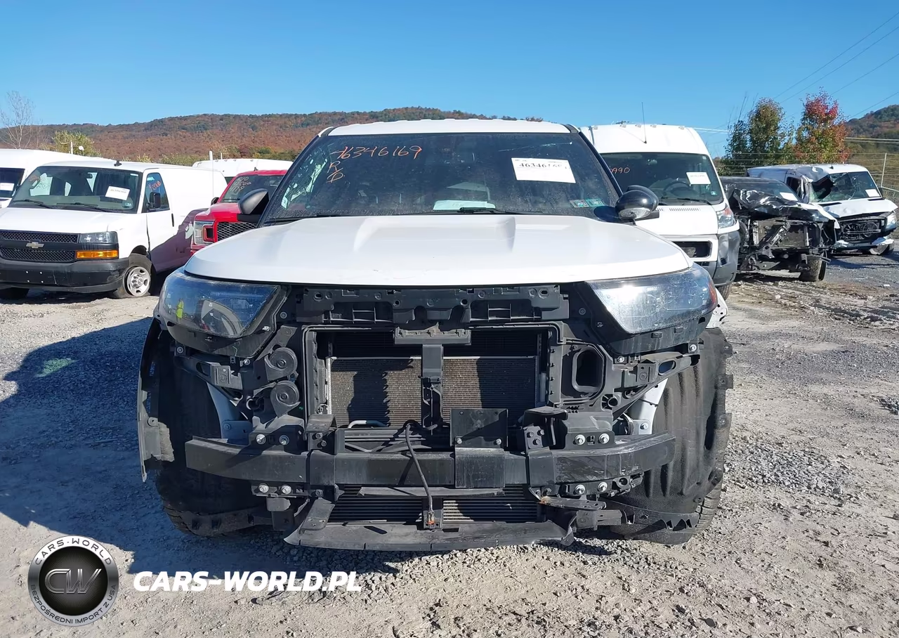 2020 Ford Police Interceptor Utility VIN:1FM5K8AB8LGC36644 - 5