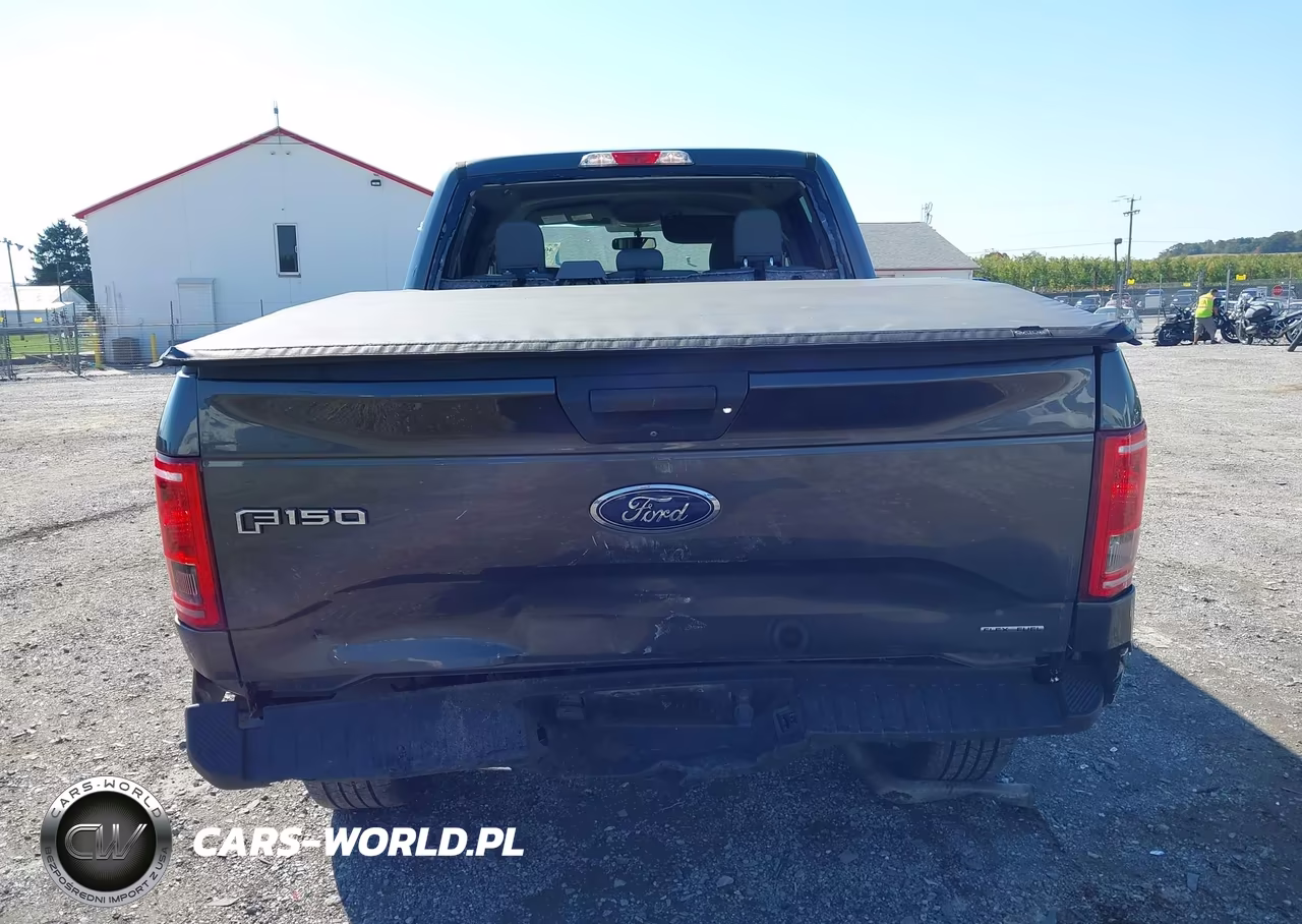 2016 Ford F-150 Xlt VIN:1FTFW1EF5GFB65433 - 16