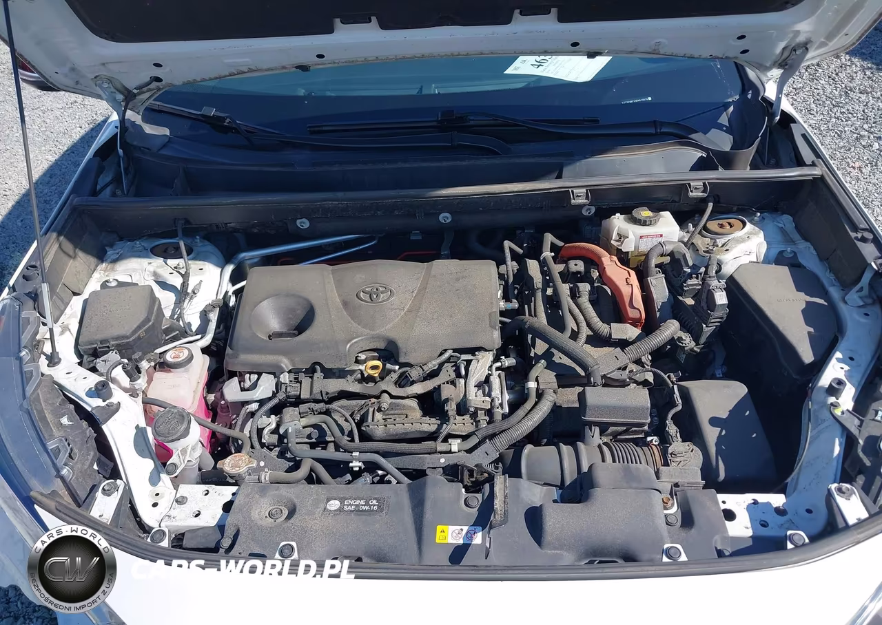 2019 Toyota Rav4 Hybrid Xse VIN:2T3EWRFV5KW019976 - 10