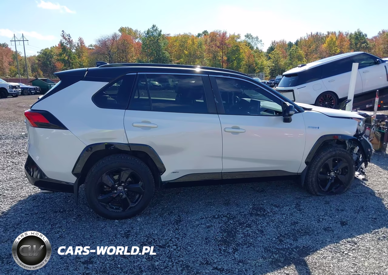 2019 Toyota Rav4 Hybrid Xse VIN:2T3EWRFV5KW019976 - 13