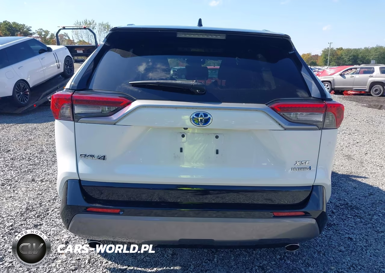 2019 Toyota Rav4 Hybrid Xse VIN:2T3EWRFV5KW019976 - 16