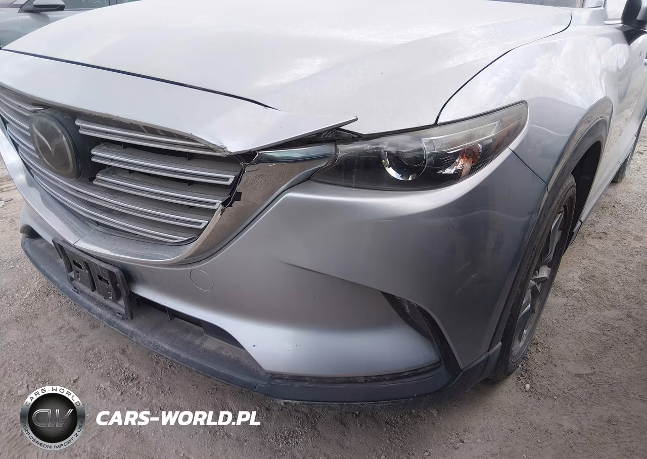 2018 Mazda Cx-9 Sport VIN:JM3TCABY3J0215605 - 6