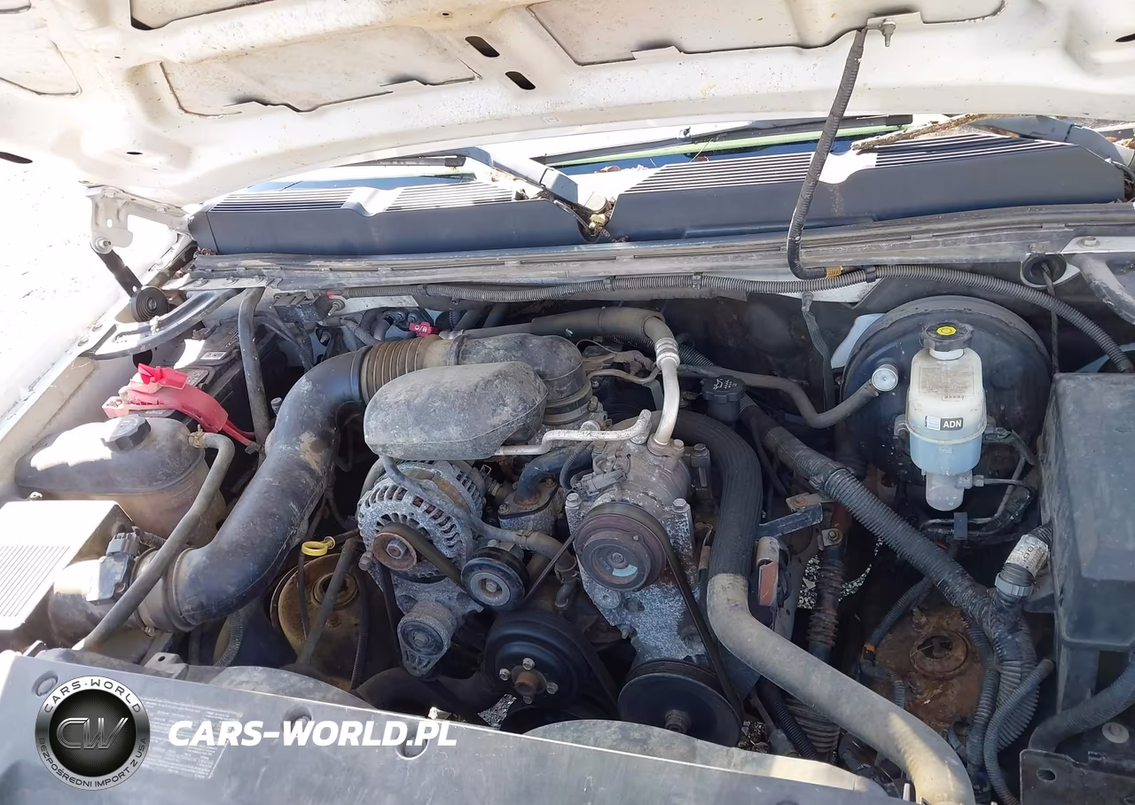 2009 Chevrolet Silverado 1500 Work Truck VIN:1GCEC14X09Z145803 - 10
