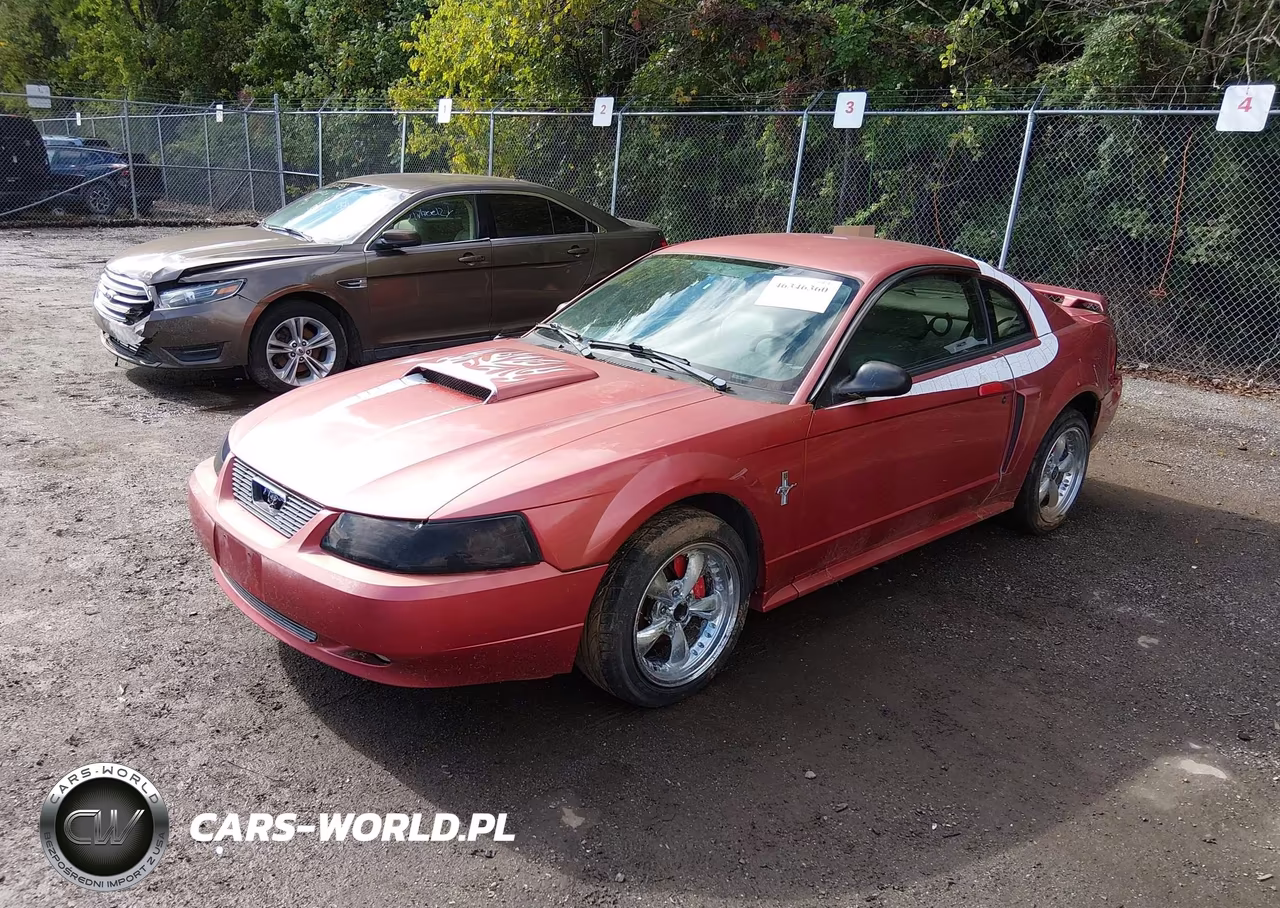 2001 Ford Mustang Gt VIN:1FAFP42X81F181182 - 2
