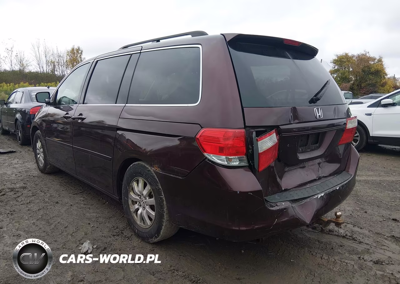 2009 Honda Odyssey Ex VIN:5FNRL38449B406501 - 3