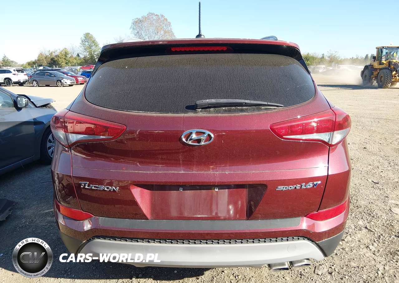 2017 Hyundai Tucson Sport VIN:KM8J33A22HU412529 - 16