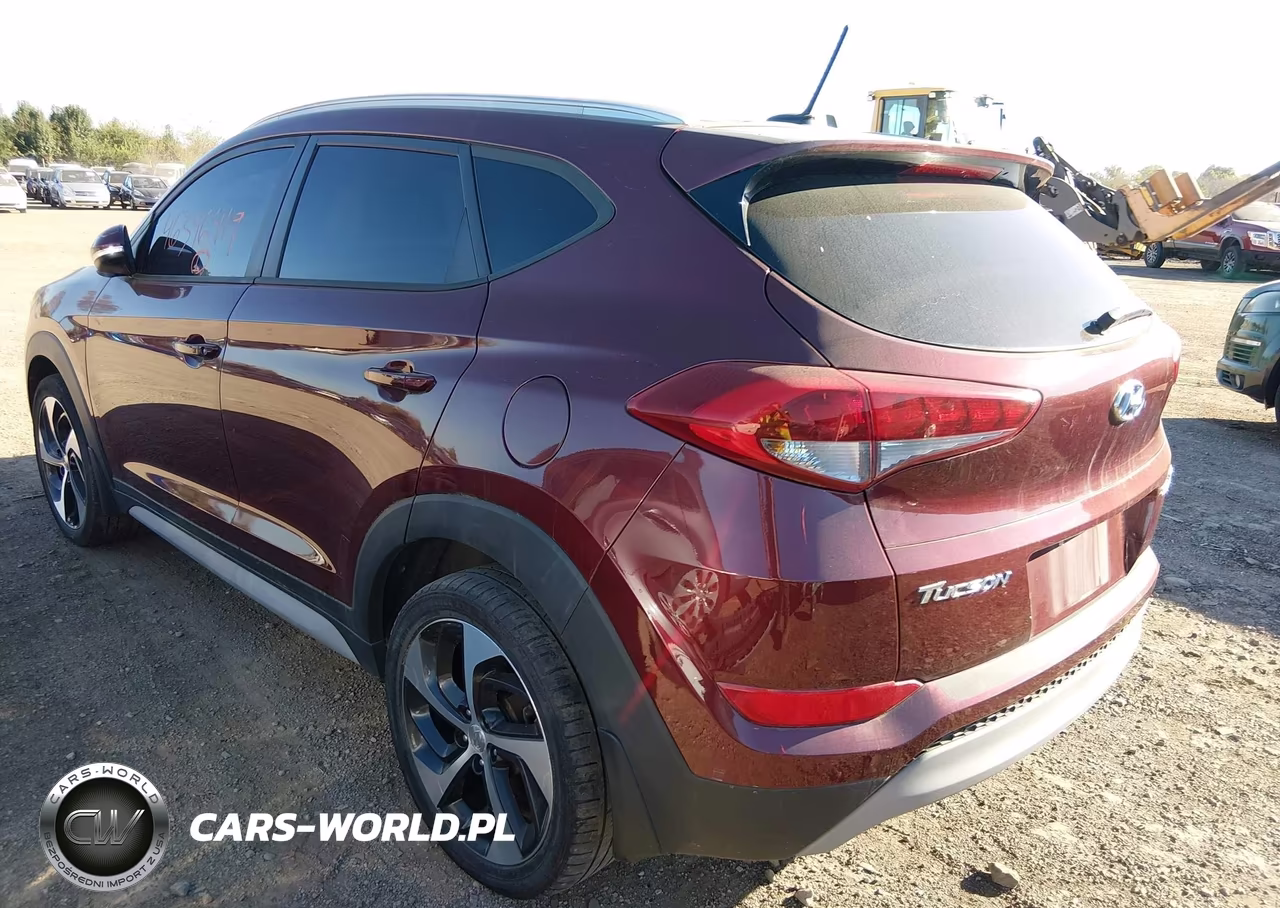 2017 Hyundai Tucson Sport VIN:KM8J33A22HU412529 - 3