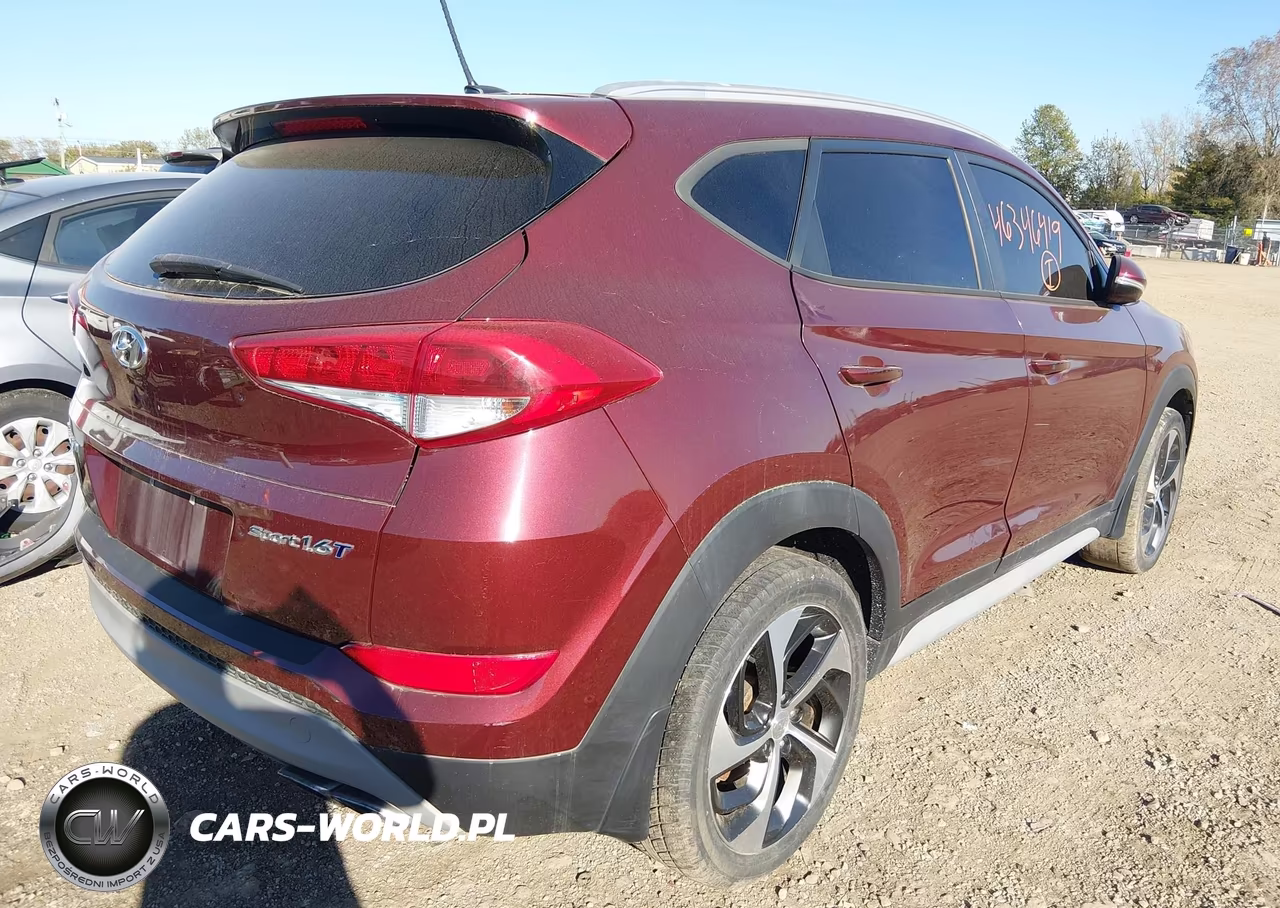 2017 Hyundai Tucson Sport VIN:KM8J33A22HU412529 - 4
