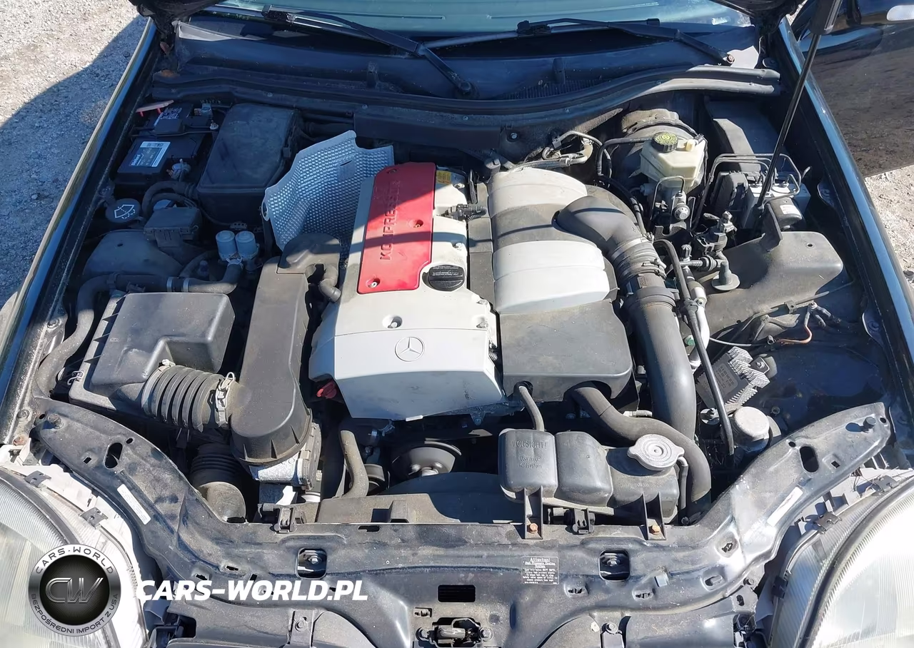 2002 Mercedes-Benz Slk 230 Kompressor VIN:WDBKK49F52F237910 - 10