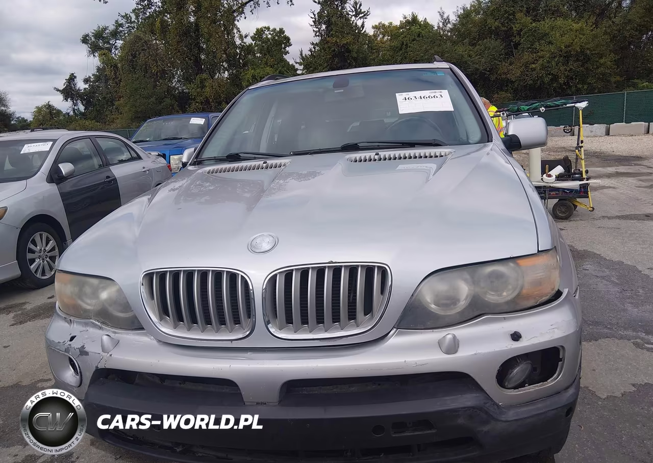 2005 BMW X5 4.4I VIN:5UXFB53505LV19272 - 6