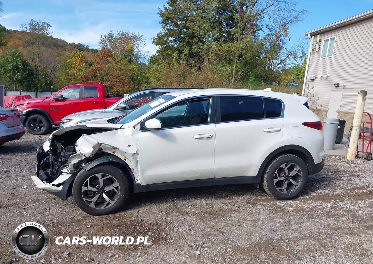 2022 Kia Sportage Lx VIN:KNDPMCAC0N7954436 - 14