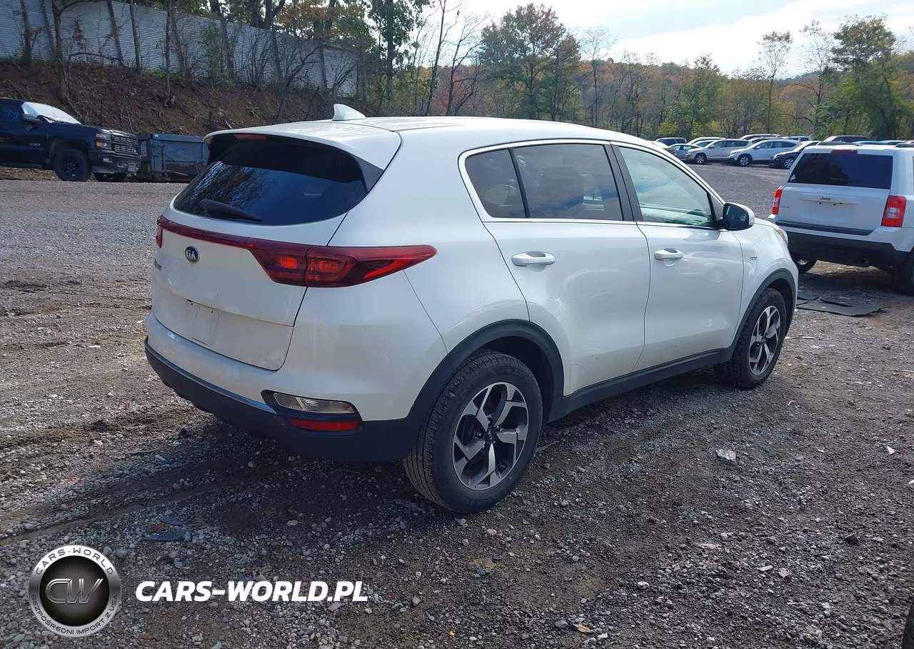 2022 Kia Sportage Lx VIN:KNDPMCAC0N7954436 - 4