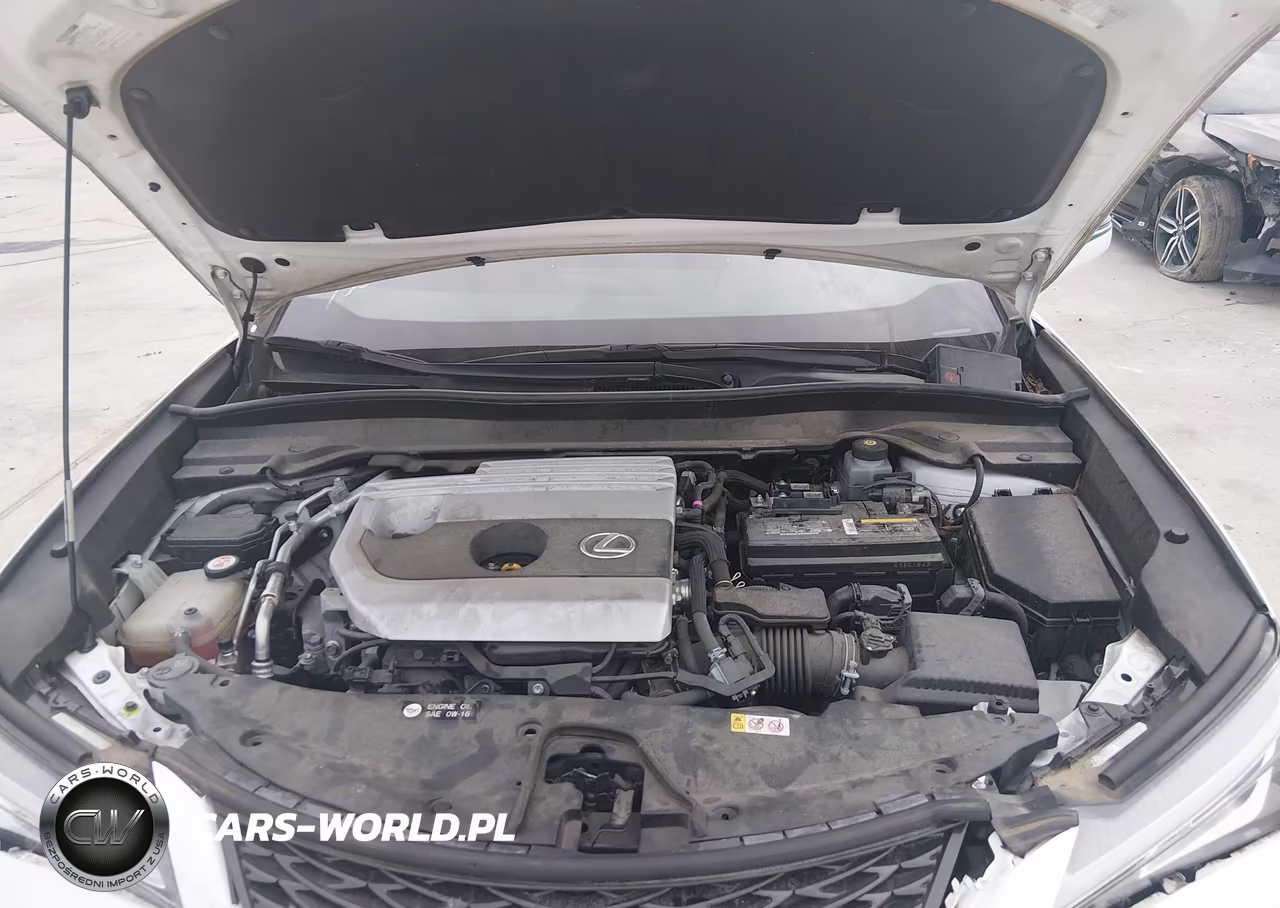 2019 Lexus Ux 200 F Sport VIN:JTHY3JBH5K2000438 - 10