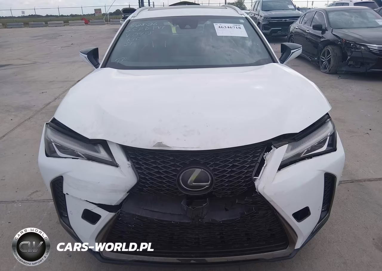 2019 Lexus Ux 200 F Sport VIN:JTHY3JBH5K2000438 - 12
