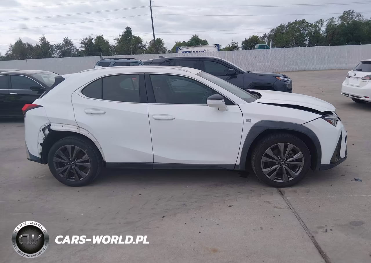 2019 Lexus Ux 200 F Sport VIN:JTHY3JBH5K2000438 - 13