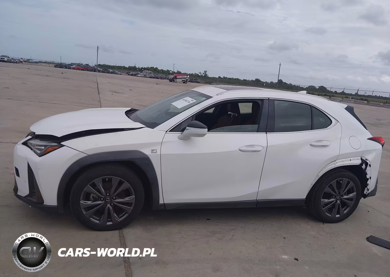 2019 Lexus Ux 200 F Sport VIN:JTHY3JBH5K2000438 - 14