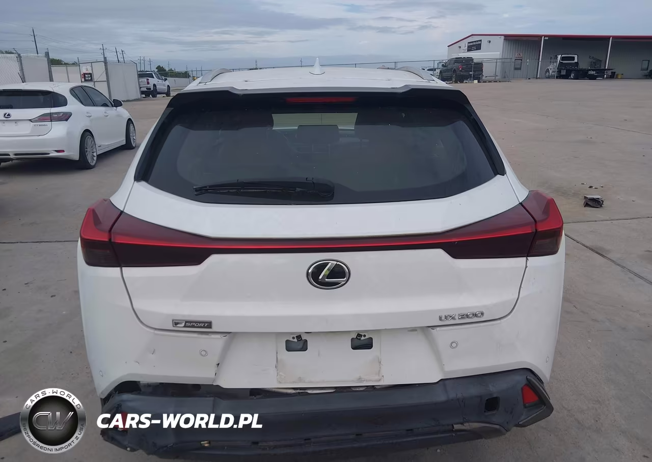 2019 Lexus Ux 200 F Sport VIN:JTHY3JBH5K2000438 - 16