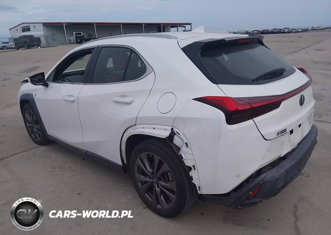 2019 Lexus Ux 200 F Sport VIN:JTHY3JBH5K2000438 - 3