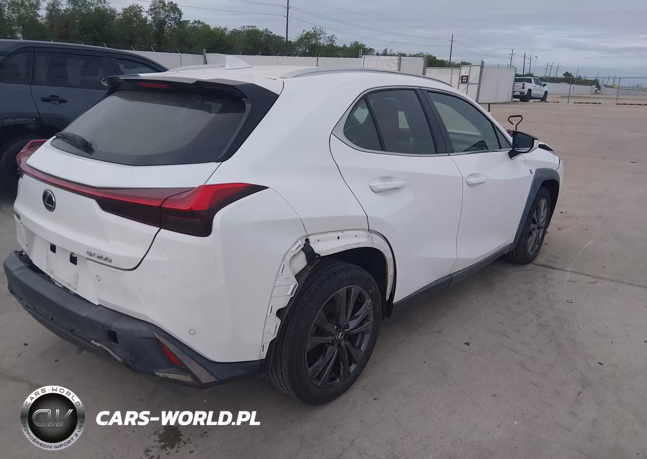 2019 Lexus Ux 200 F Sport VIN:JTHY3JBH5K2000438 - 4