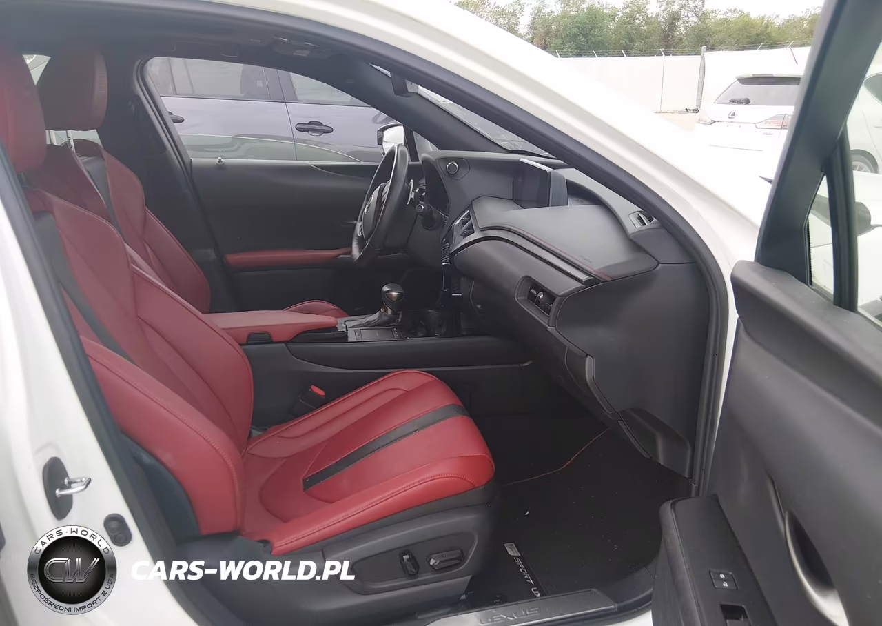 2019 Lexus Ux 200 F Sport VIN:JTHY3JBH5K2000438 - 5