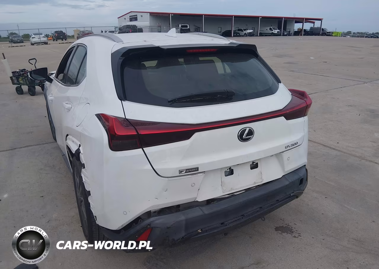 2019 Lexus Ux 200 F Sport VIN:JTHY3JBH5K2000438 - 6