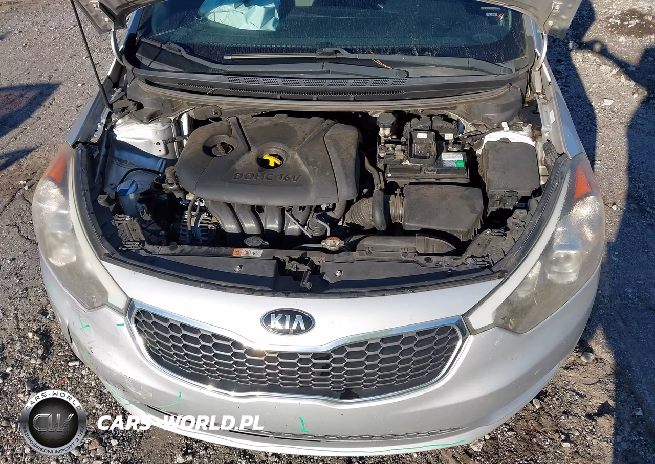 2015 Kia Forte Lx VIN:KNAFK4A64F5341098 - 10