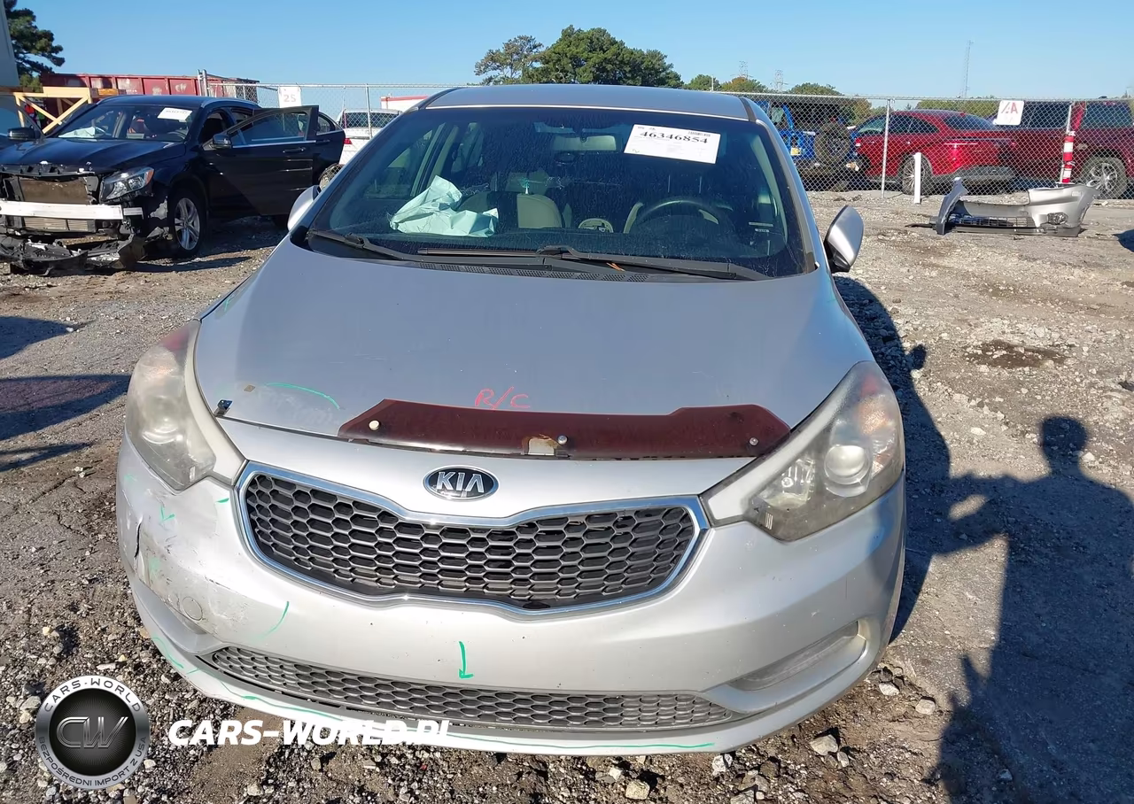 2015 Kia Forte Lx VIN:KNAFK4A64F5341098 - 13