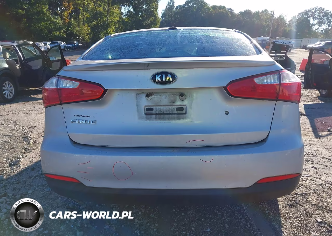 2015 Kia Forte Lx VIN:KNAFK4A64F5341098 - 17