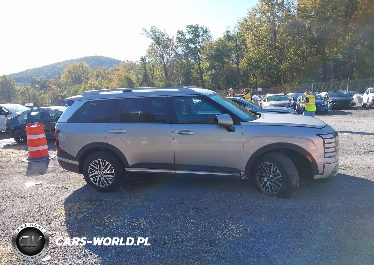 2026 Hyundai Palisade Sel 7P VIN:KM8RLES29TU100830 - 13