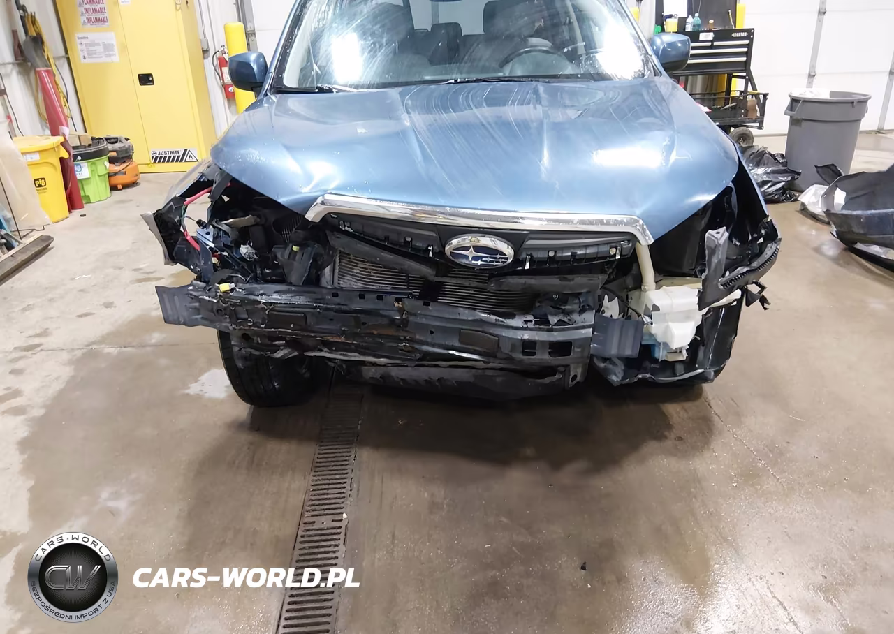 2014 Subaru Forester 2.5I Premium VIN:JF2SJAEC5EH448291 - 6