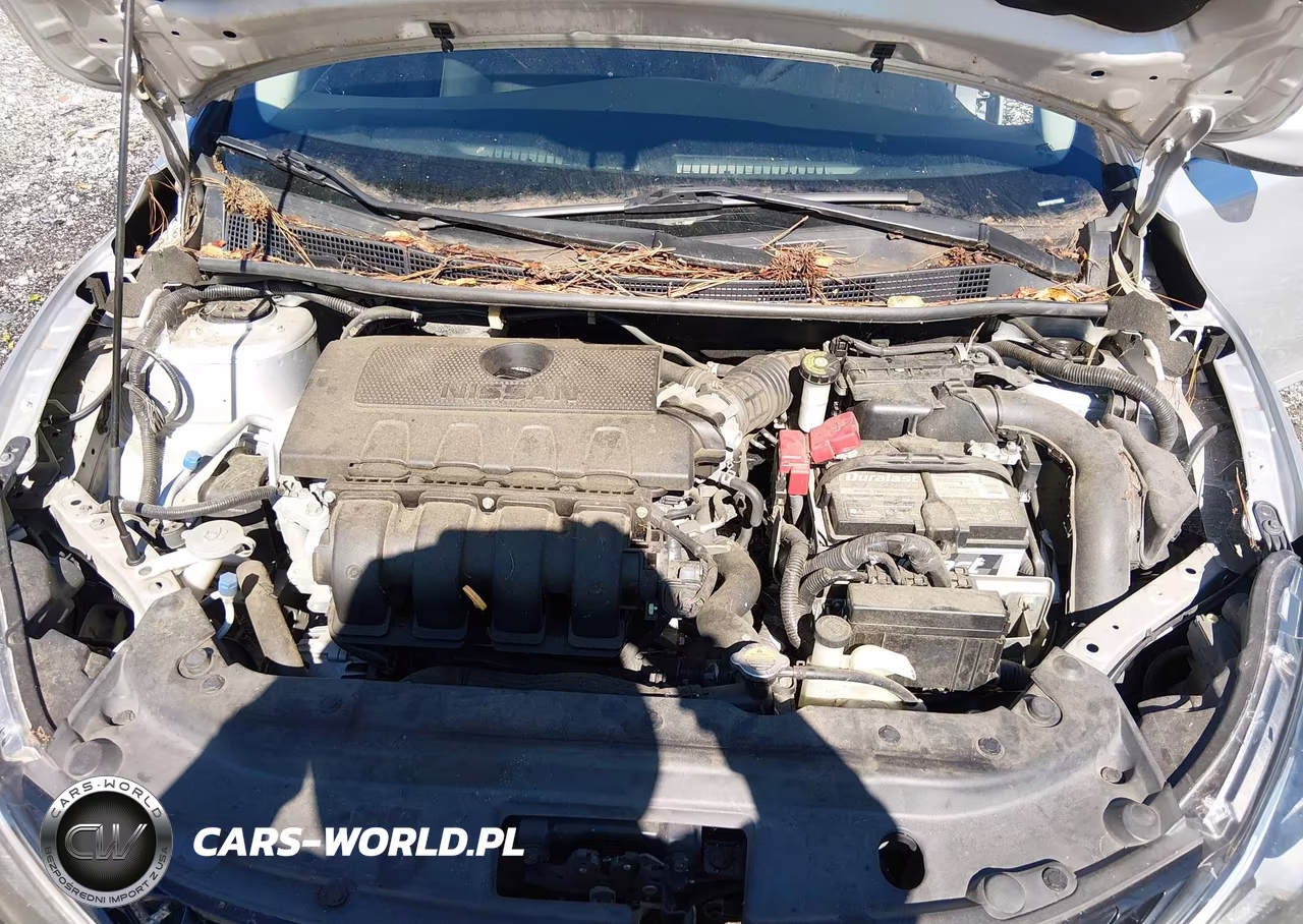 2016 Nissan Sentra S VIN:3N1AB7AP0GY319985 - 10