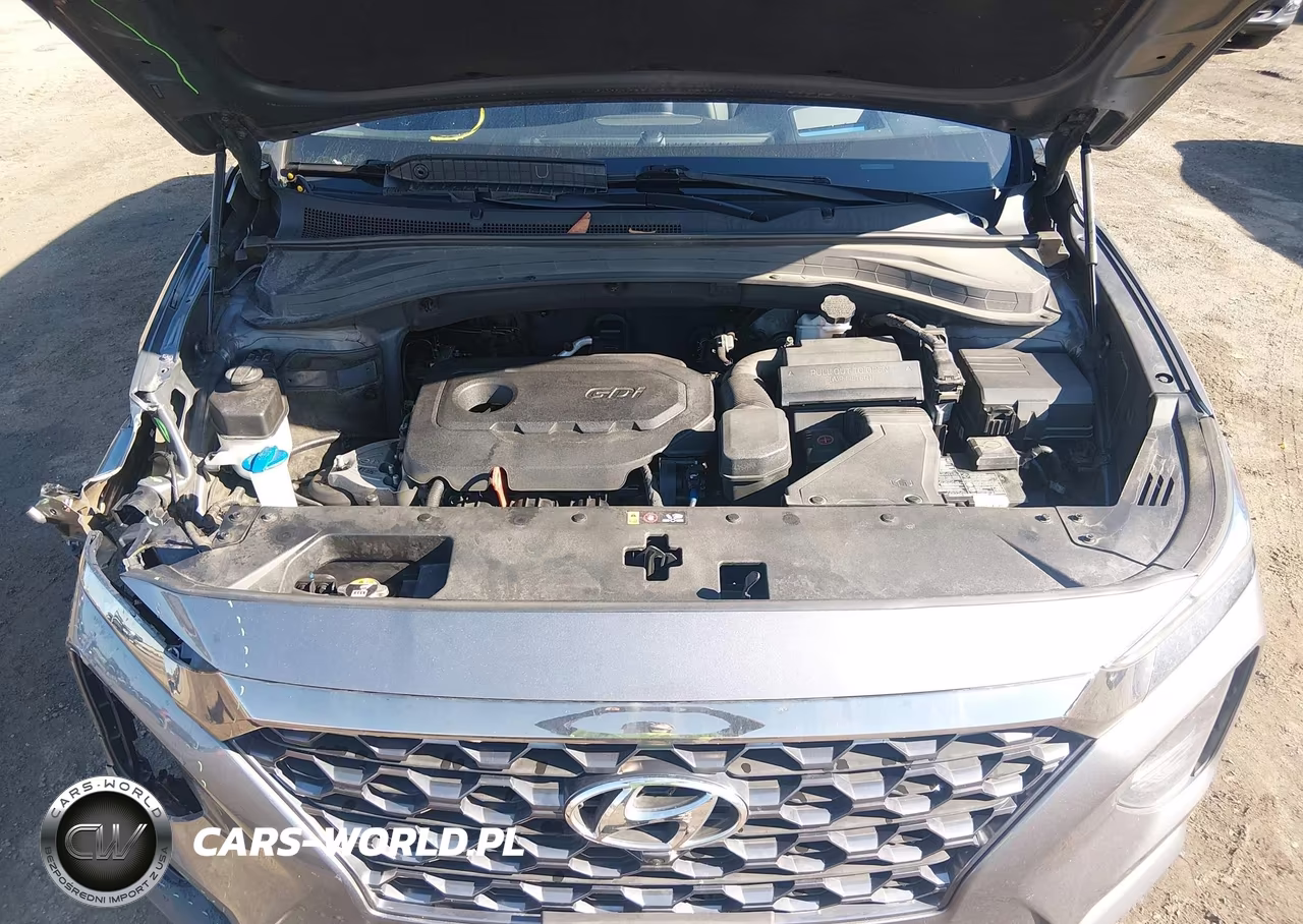 2020 Hyundai Santa Fe Limited VIN:5NMS53AD9LH146883 - 10
