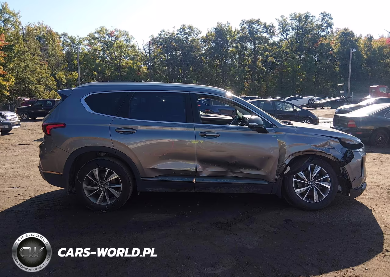 2020 Hyundai Santa Fe Limited VIN:5NMS53AD9LH146883 - 13