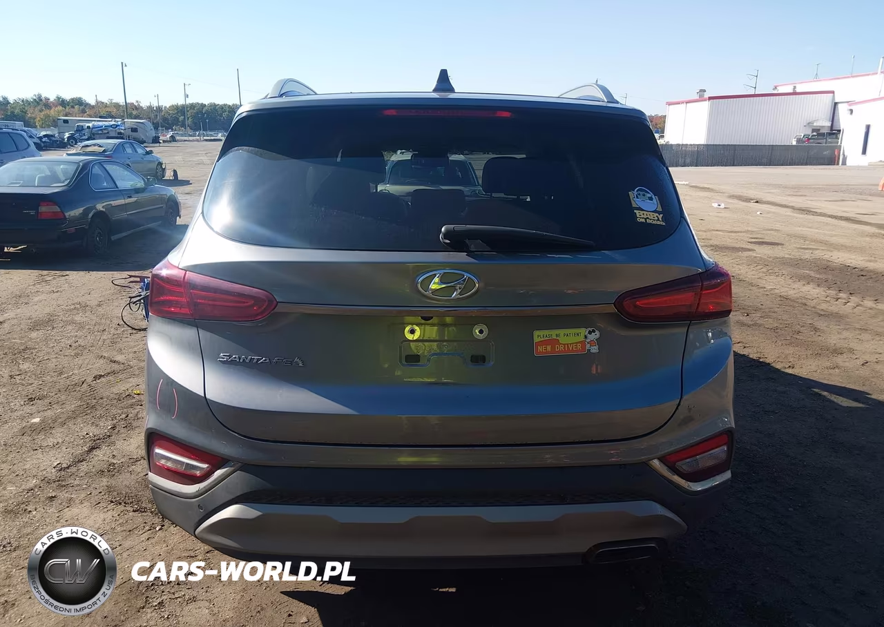 2020 Hyundai Santa Fe Limited VIN:5NMS53AD9LH146883 - 16