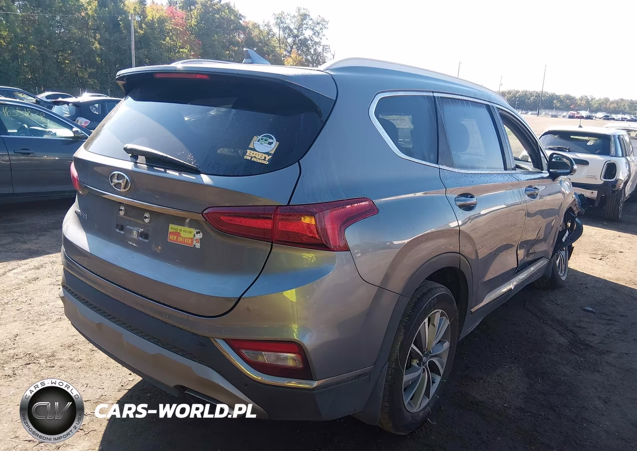 2020 Hyundai Santa Fe Limited VIN:5NMS53AD9LH146883 - 4
