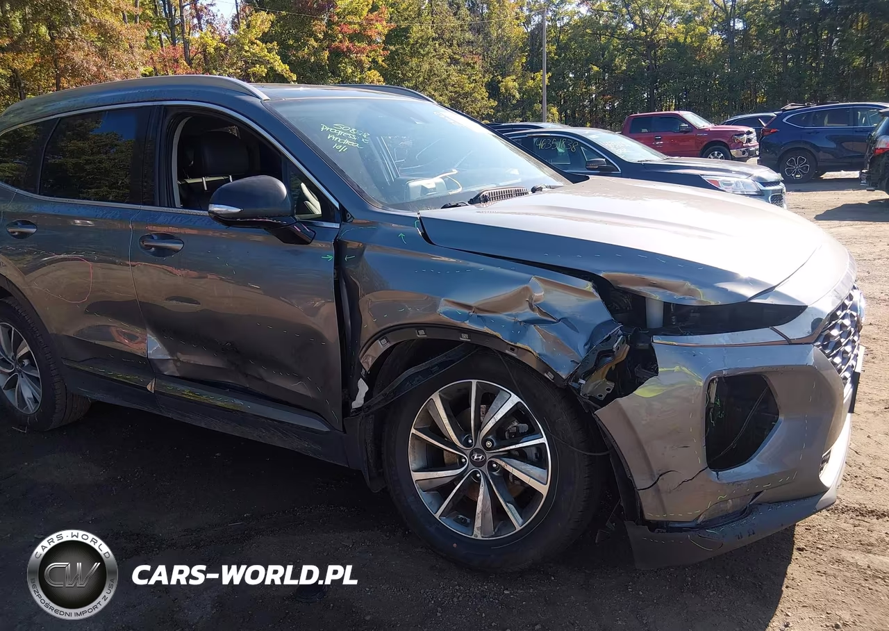2020 Hyundai Santa Fe Limited VIN:5NMS53AD9LH146883 - 6