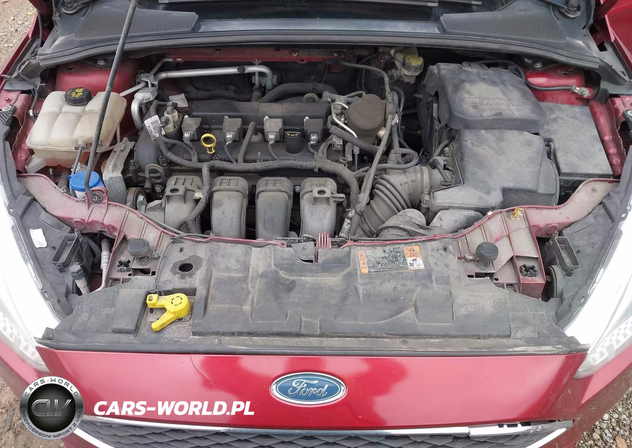 2015 Ford Focus Se VIN:1FADP3F2XFL303873 - 10