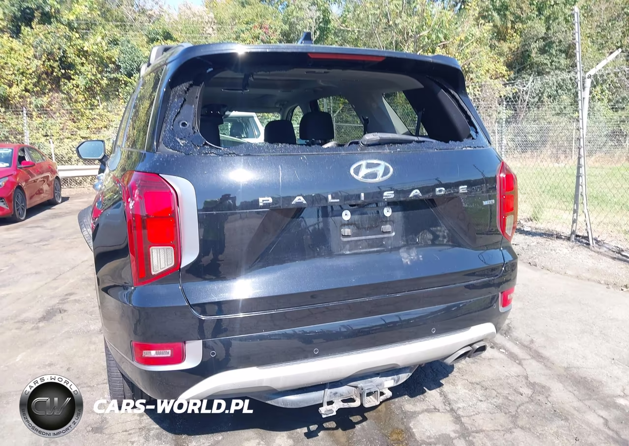 2021 Hyundai Palisade Limited VIN:KM8R5DHEXMU270153 - 17