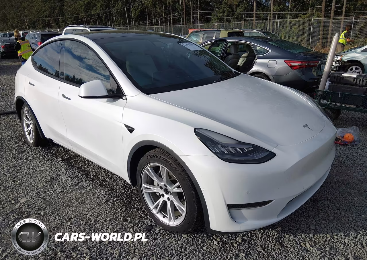 2020 Tesla Model Y Long Range Dual Motor All-Wheel Drive