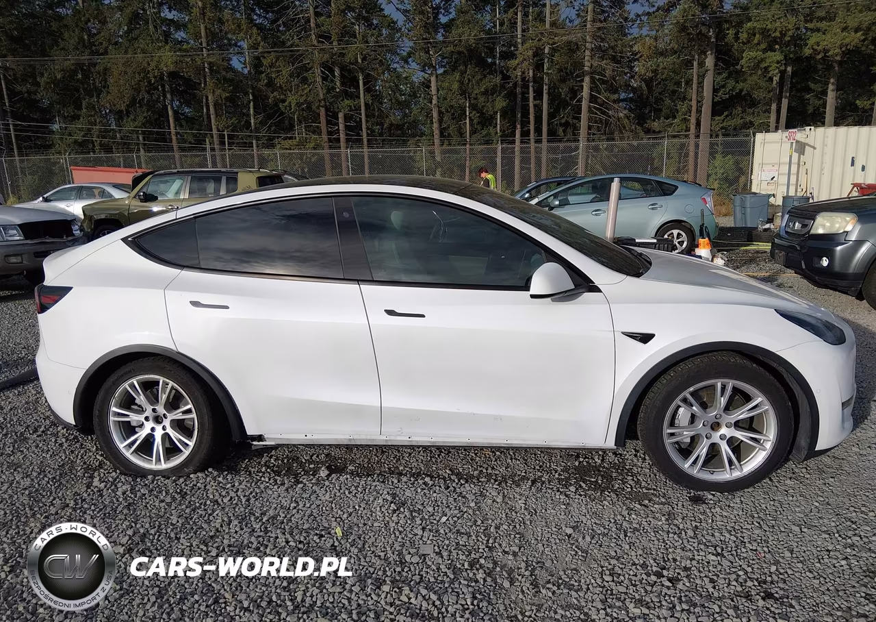 2020 Tesla Model Y Long Range Dual Motor All-Wheel Drive VIN:5YJYGDEE7LF027695 - 14