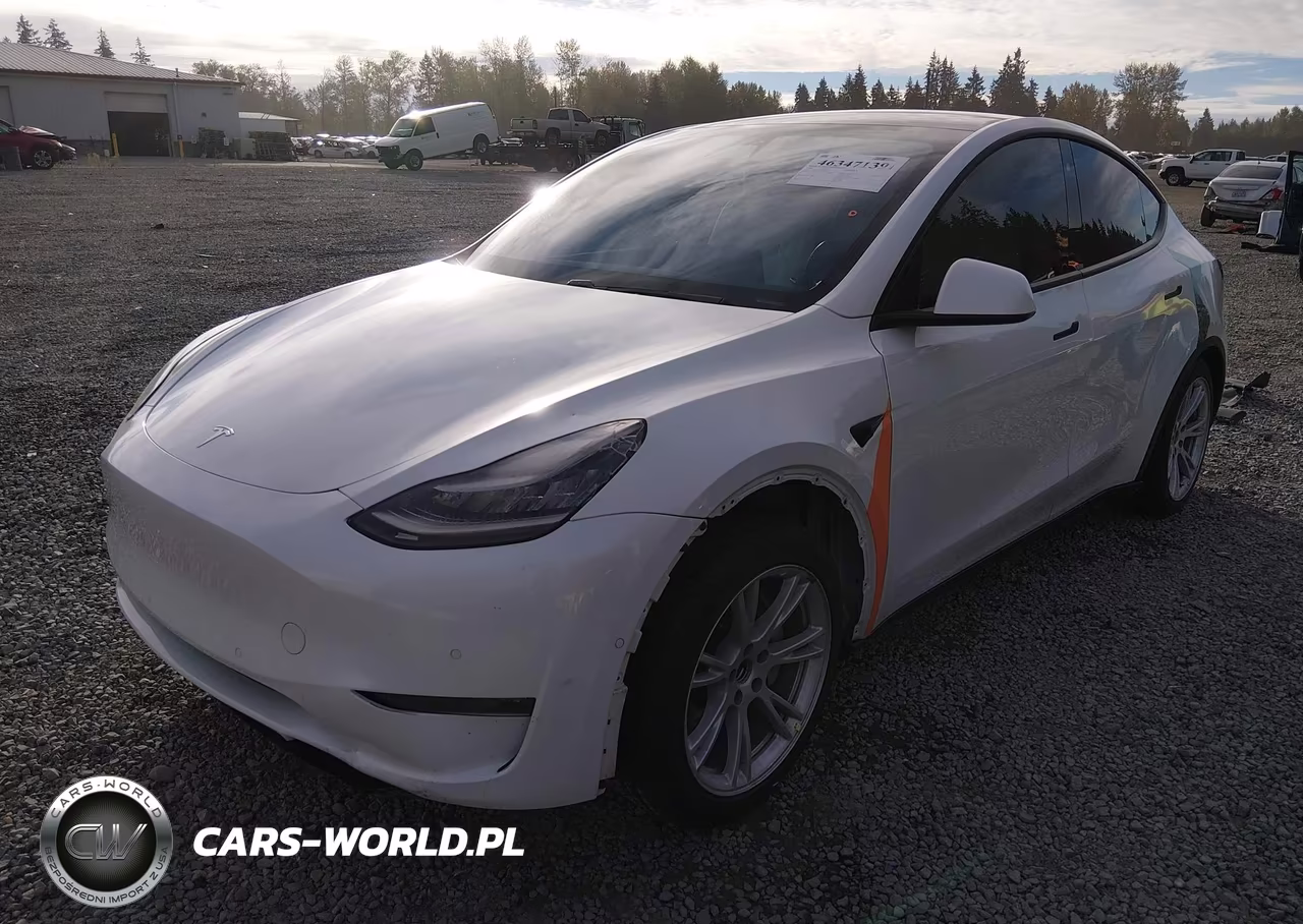 2020 Tesla Model Y Long Range Dual Motor All-Wheel Drive VIN:5YJYGDEE7LF027695 - 2