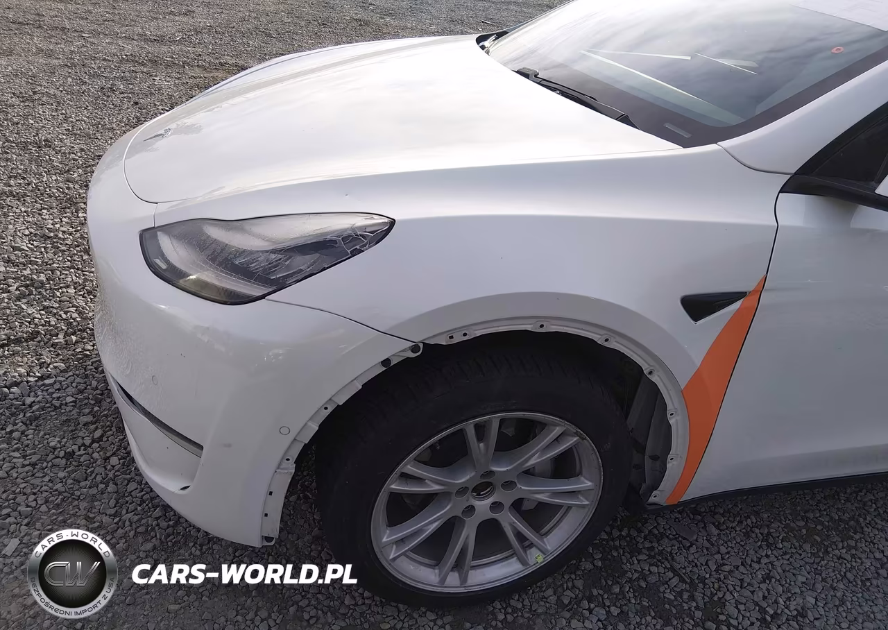 2020 Tesla Model Y Long Range Dual Motor All-Wheel Drive VIN:5YJYGDEE7LF027695 - 6