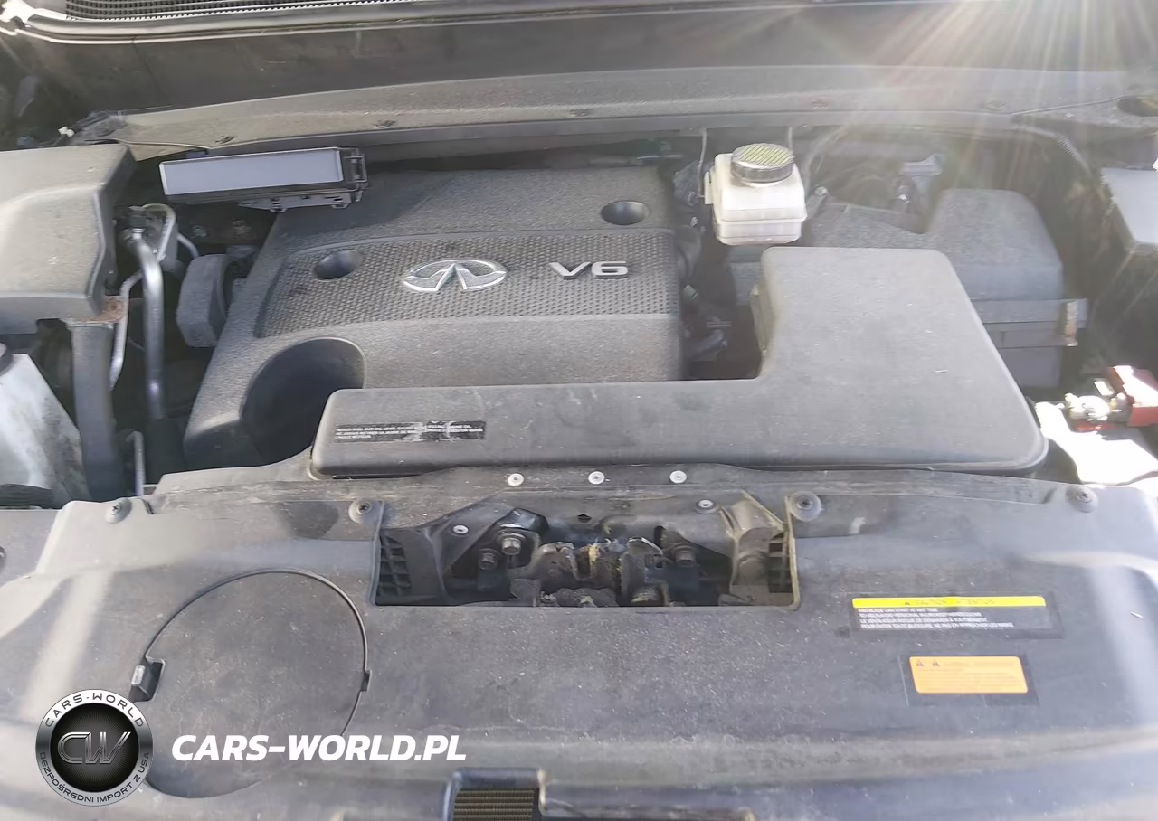 2014 Infiniti Qx60 VIN:5N1AL0MM7EC540469 - 10