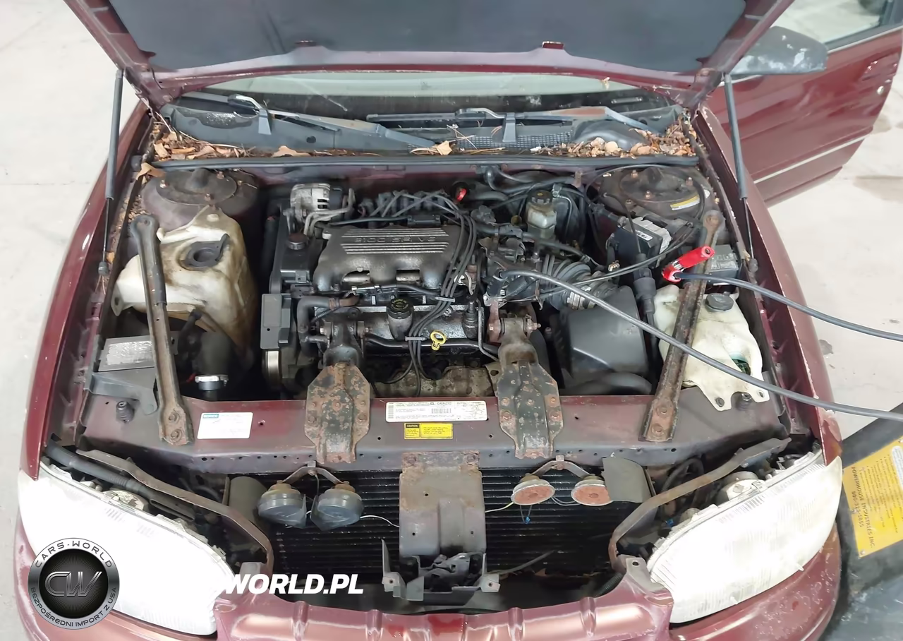 1999 Chevrolet Lumina VIN:2G1WL52M8X9195367 - 10