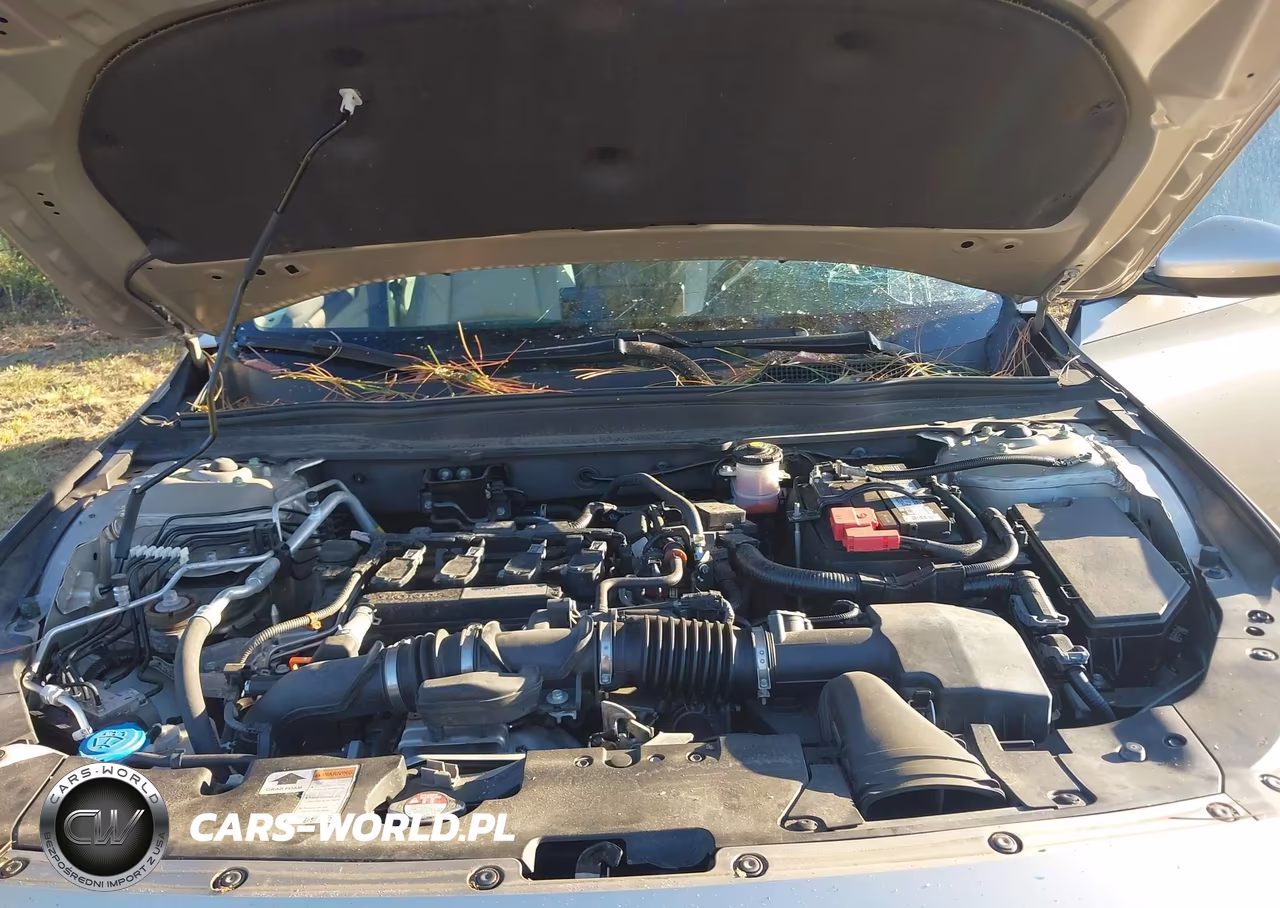 2020 Honda Accord Lx VIN:1HGCV1F19LA091354 - 10