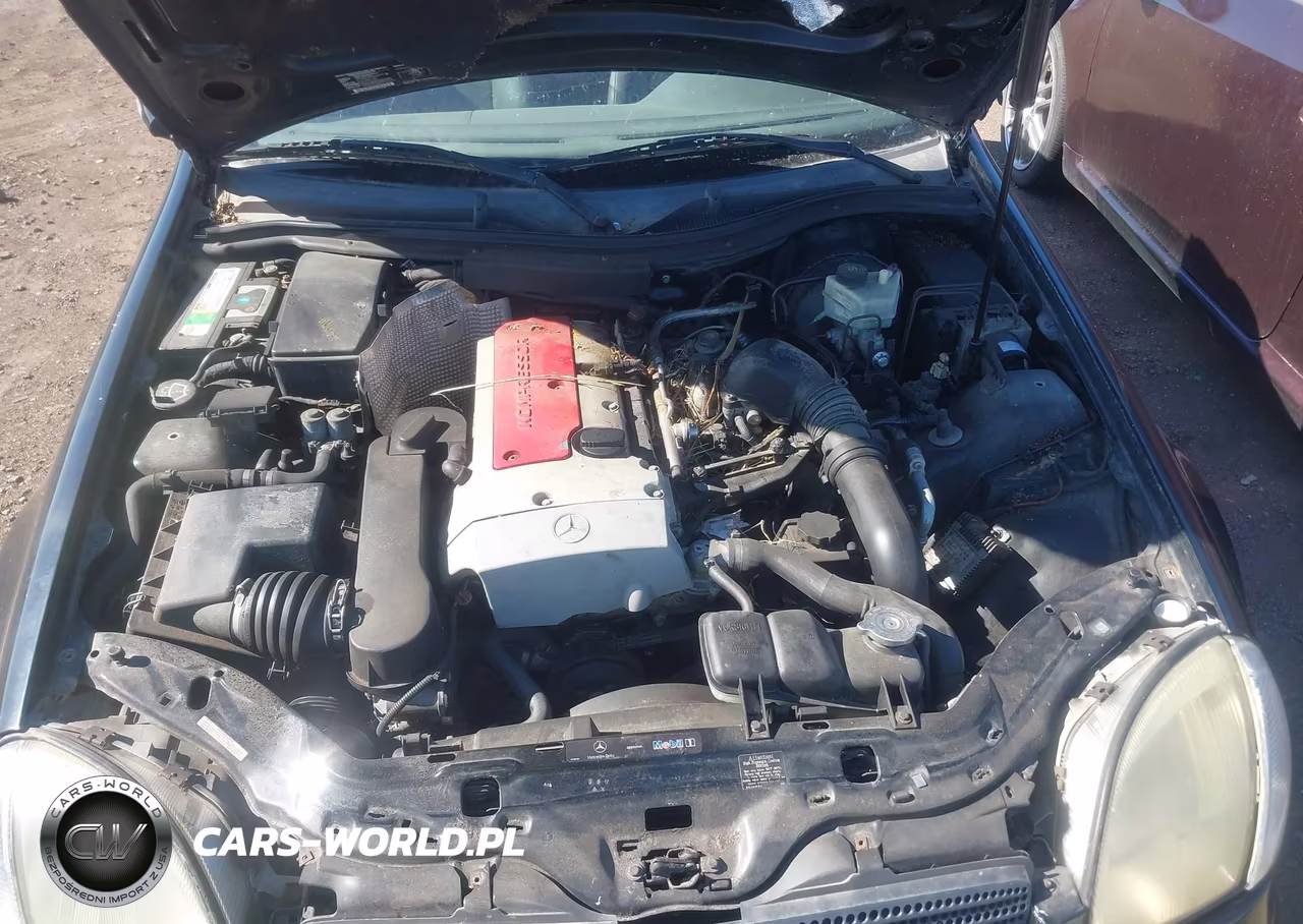 2002 Mercedes-Benz Slk 230 Kompressor VIN:WDBKK49F12F261332 - 10